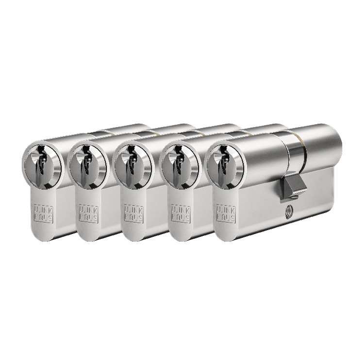 Gelijksluitende cilinders, 5 stuks, 30/30 mm