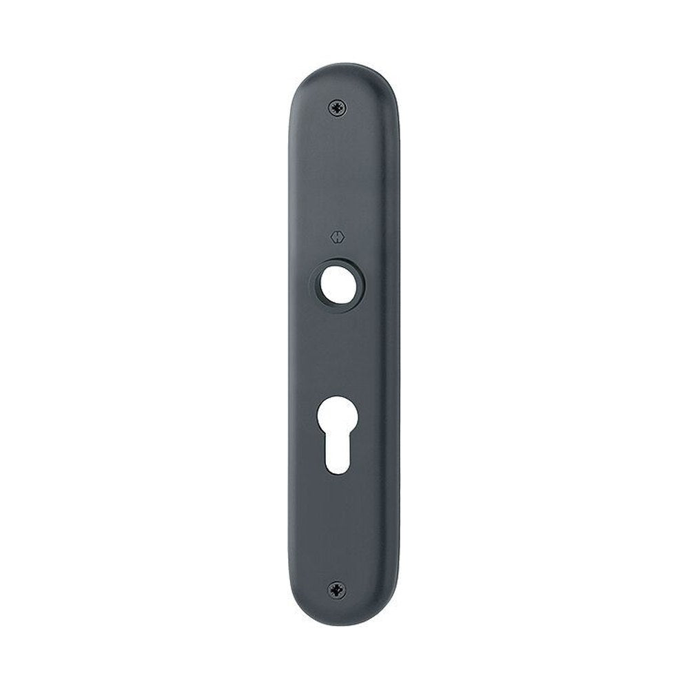 Langschild, ovaal, Zwart, 240 x 46 mm, PC55