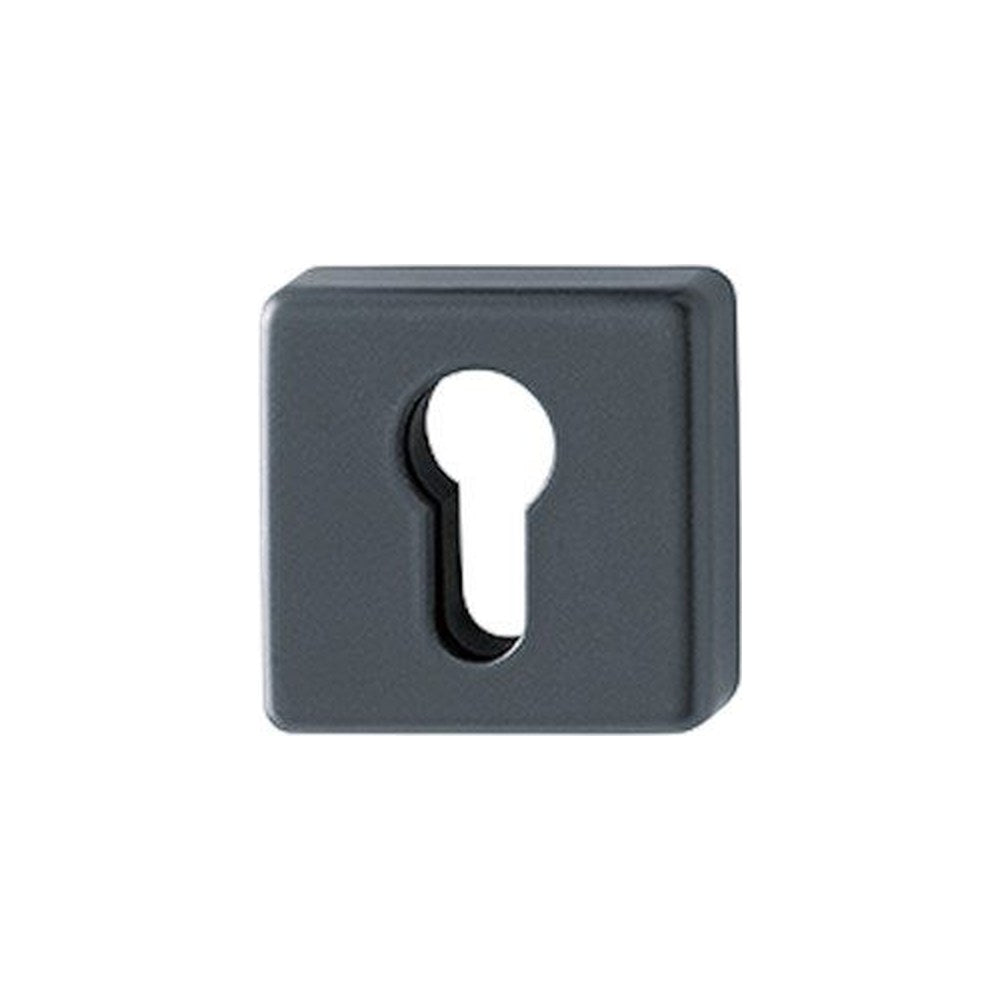 Cilinderrozet, vierkant, Zwart, Ø 52 mm
